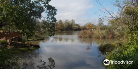 Fernland Historical Park