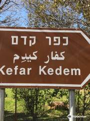 Kfar Kedem