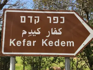 Kfar Kedem