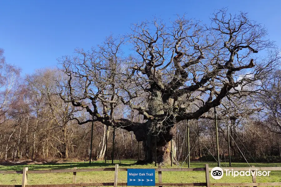 Sherwood Forest Visitor Centre