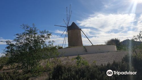 Molino de Los Camachos