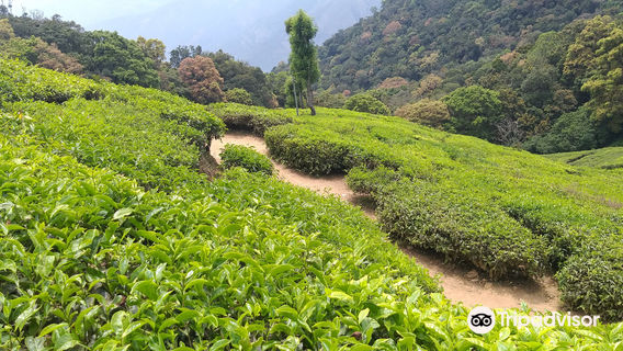 The Blossom Hydel Park