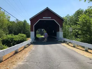Carleton bridge