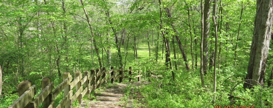 Carroll County