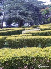 Hebbal Lake