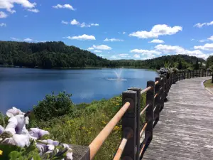 Miner's Memorial Park