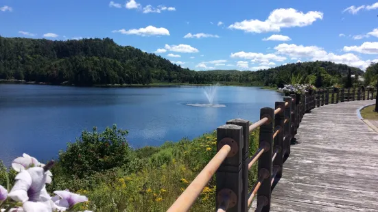 Miner's Memorial Park