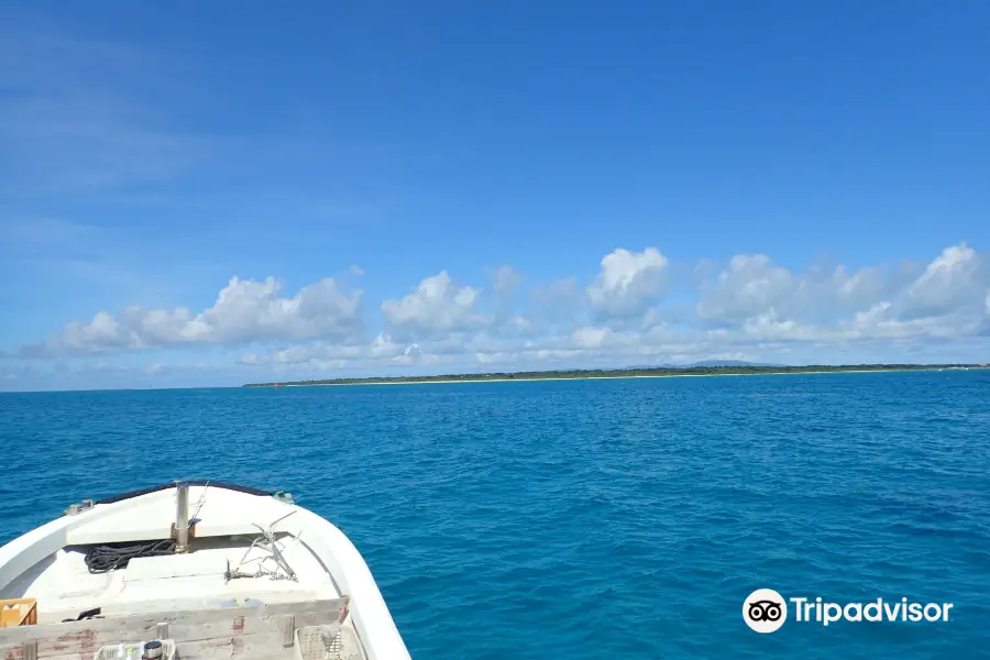 Relaxing Diving at Ishigakijima Heat Heart Club