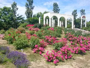 Haboro Rose Garden