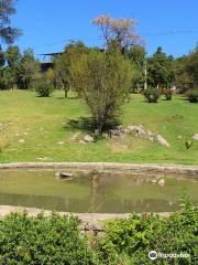 Parque Metropolitano de Santiago - Parquemet