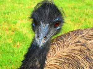 Zoológico Arca de Noé