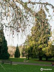 High Elms Country Park