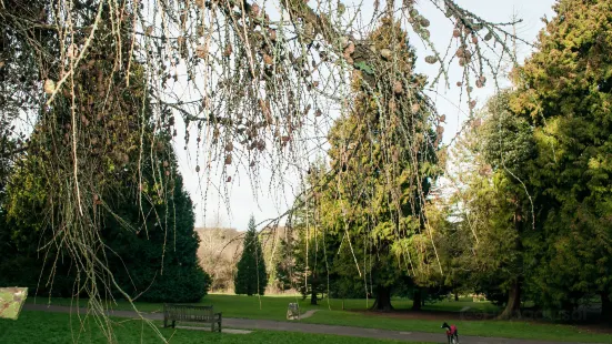 High Elms Country Park