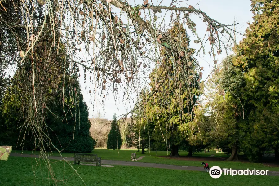 High Elms Country Park