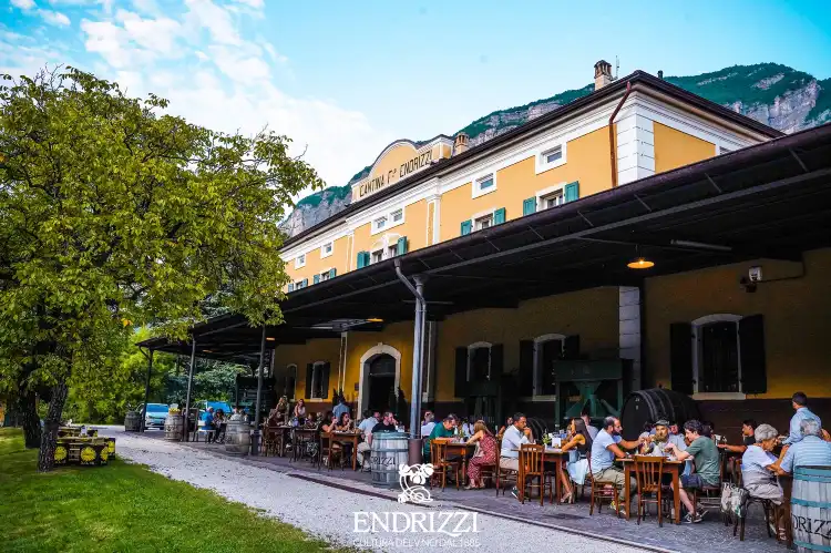 Hotels in Faedo