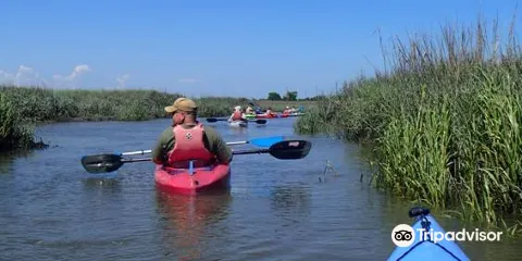 4-H Tidelands Nature Center