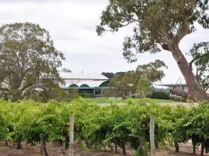 Majella Wines