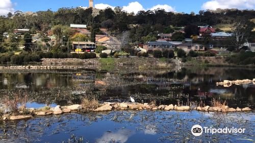 Goulburn Wetlands