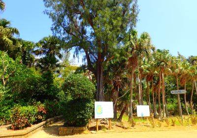 日の丸山展望台