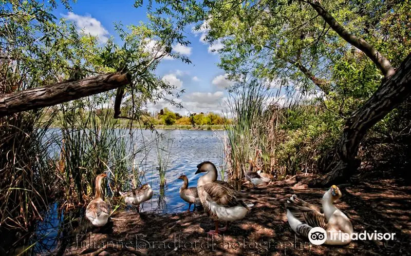 Guajome County Park