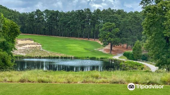 Pine Needles Lodge & Golf Club