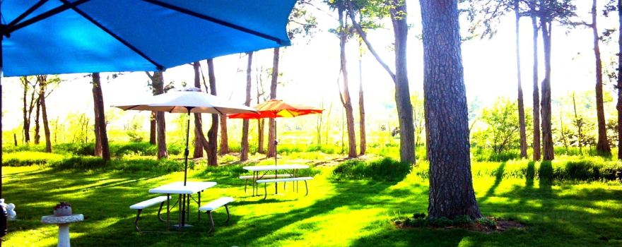 Deer Springs Winery