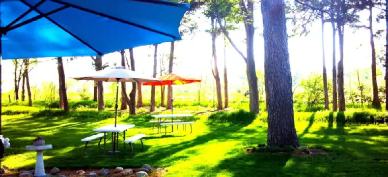 Hotels in Stevens Creek