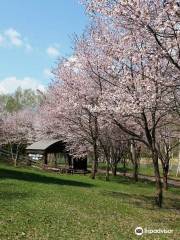 Higashikagura Forest Park