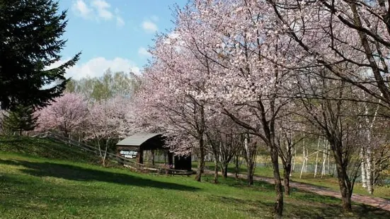 Higashikagura Forest Park