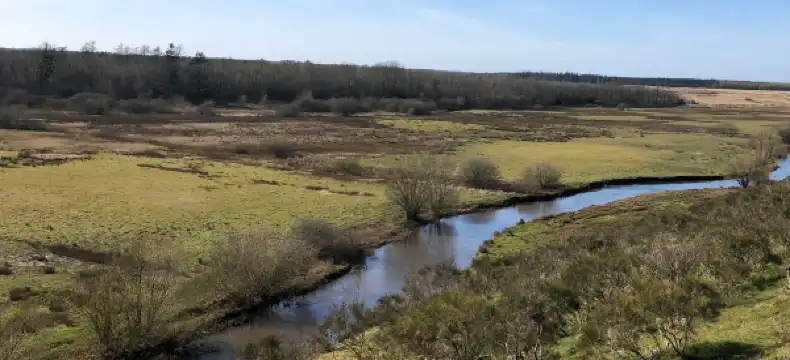 グラムのホテル