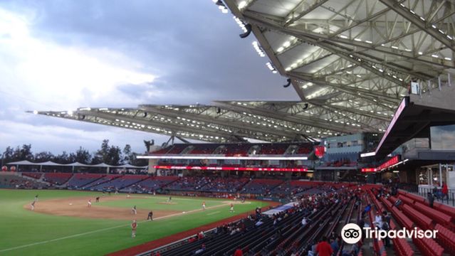 Estadio Alfredo Harp Helu