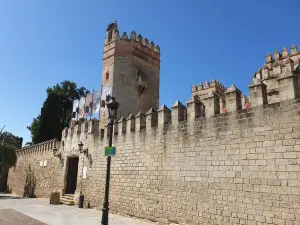 Château de San Marcos