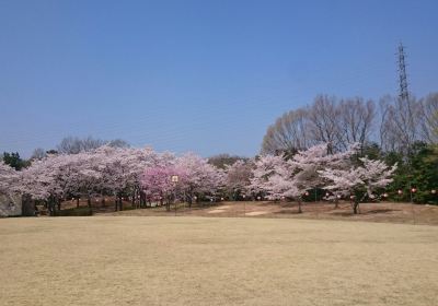 Hyogo Prefectural Harima Central Park