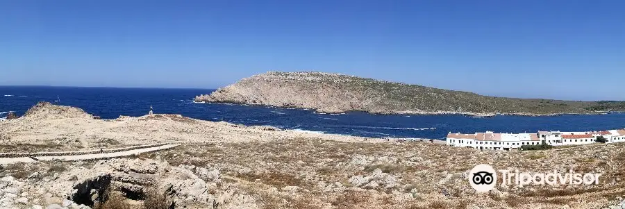 Cap de Cavalleria