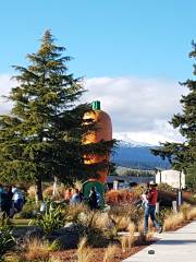 Ohakune Carrot Adventure Park