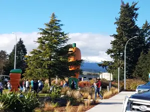 Ohakune Carrot Adventure Park