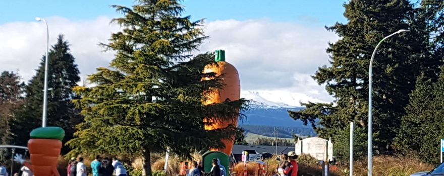 Ohakune Carrot Adventure Park