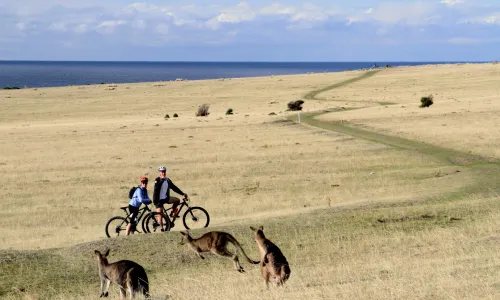 Cycling in Hobart