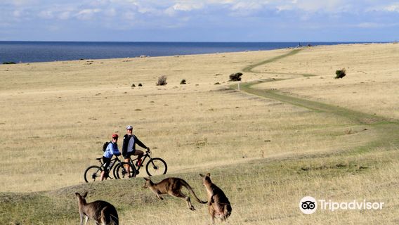 Cycling in Hobart