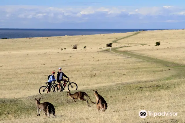 Cycling in Hobart