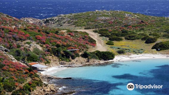 Asinara4x4