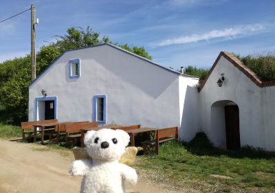 Satov