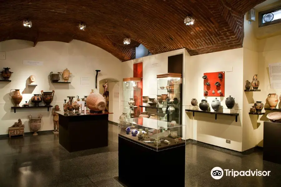 Museo d'Arte e Scienza