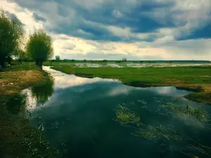 National Park "Warta Mouth"