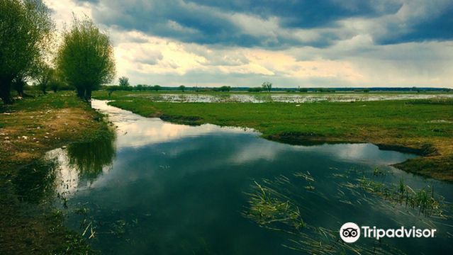 National Park "Warta Mouth"