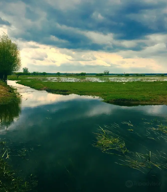 Slubice County