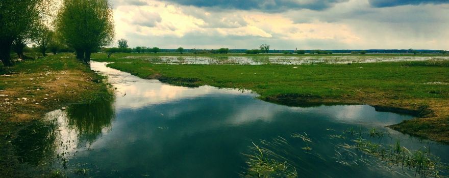 Slubice County
