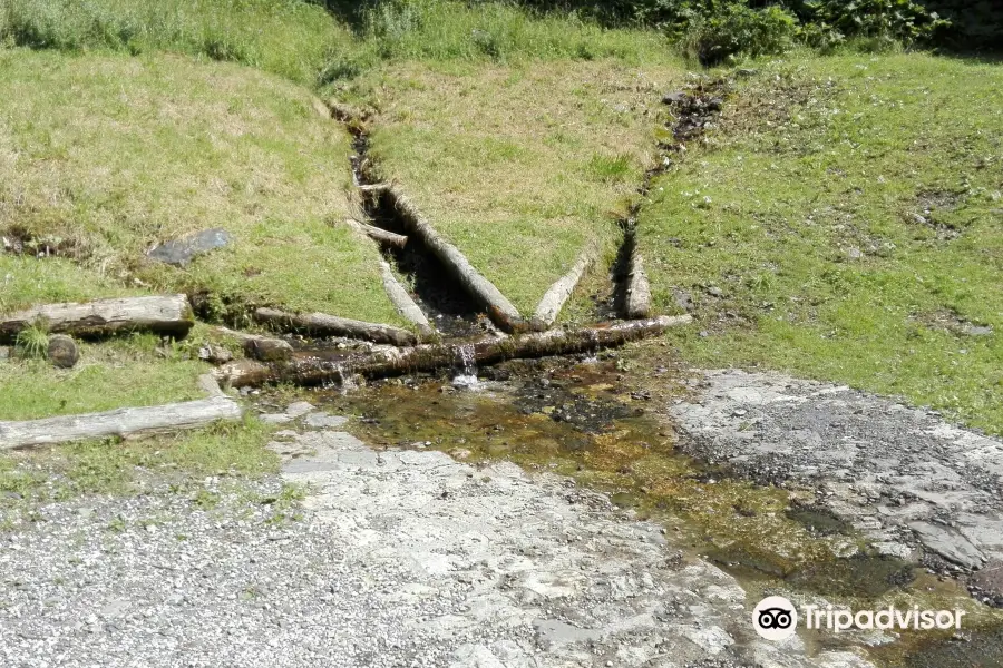 Riserva Naturale Boschi del Giovetto di Palline