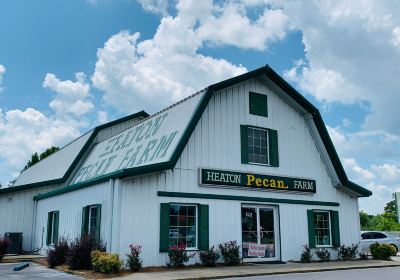 Heaton Pecan Farm