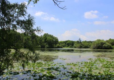 Wehr Nature Center